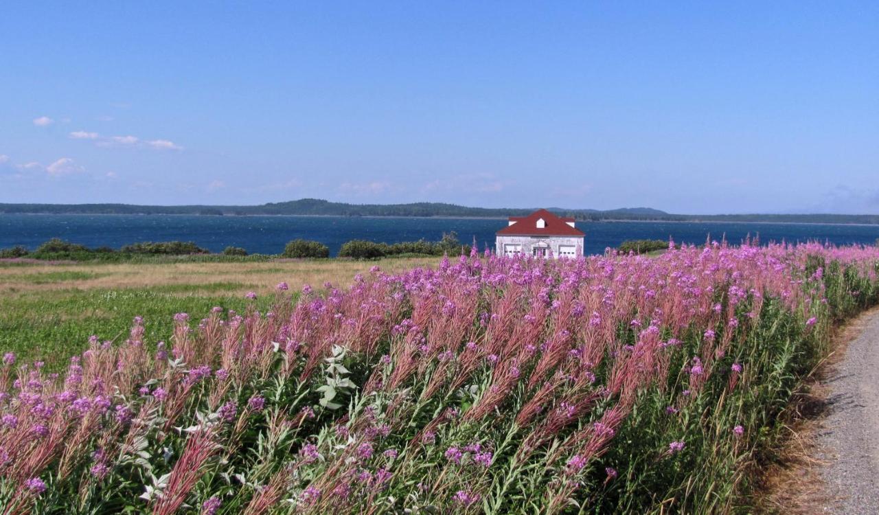فندق West Quoddy Station Llc Lubec المظهر الخارجي الصورة